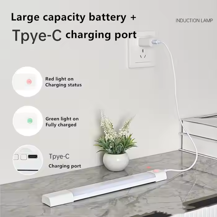LED induction light